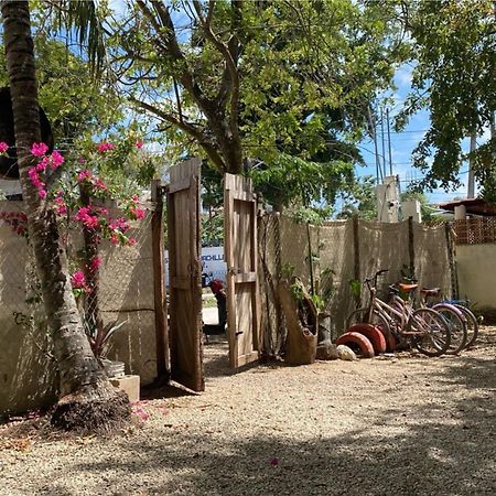 Hotel Selva Bacalar - Free Bike Rental Екстер'єр фото