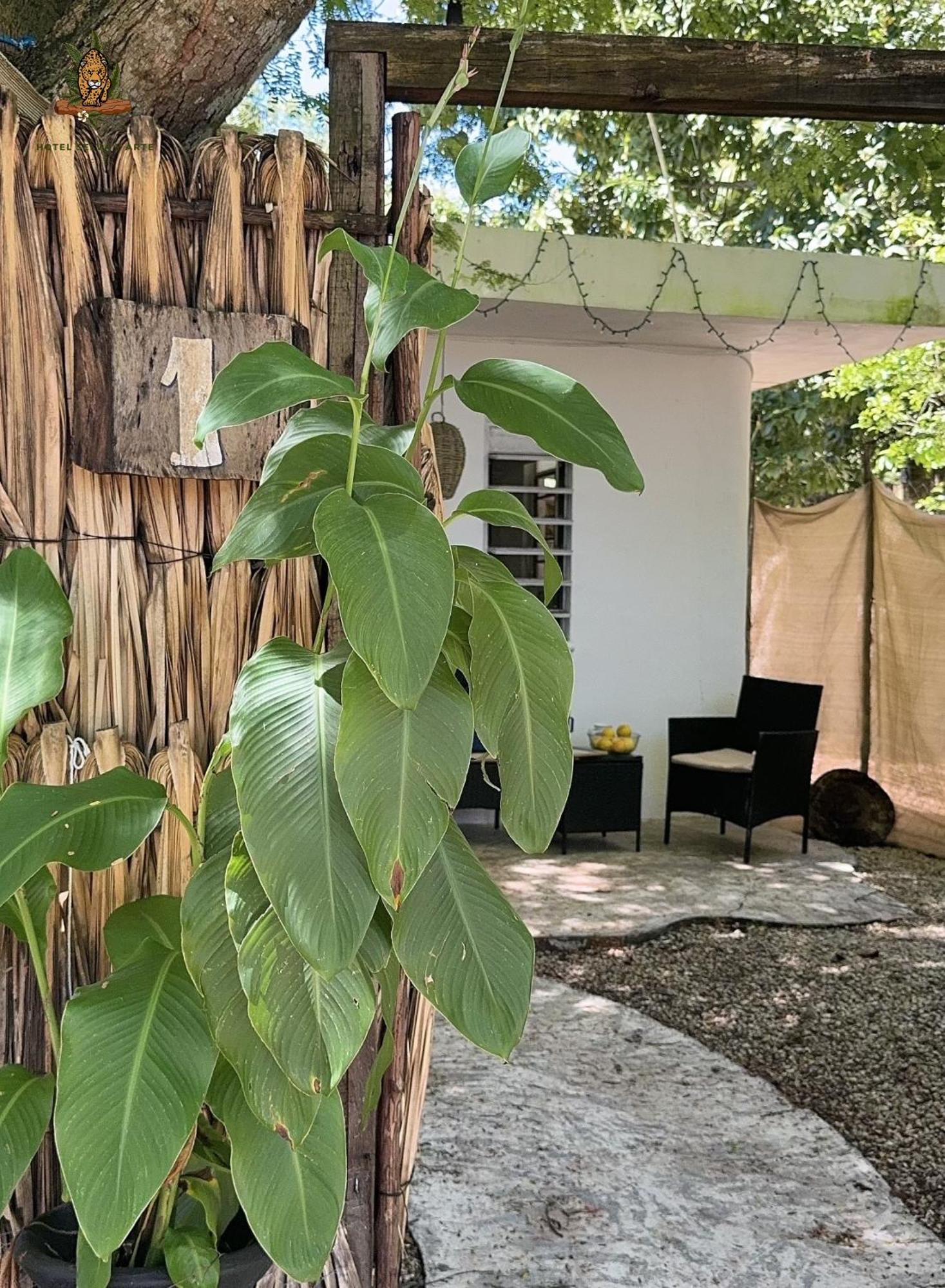 Hotel Selva Bacalar - Free Bike Rental Екстер'єр фото