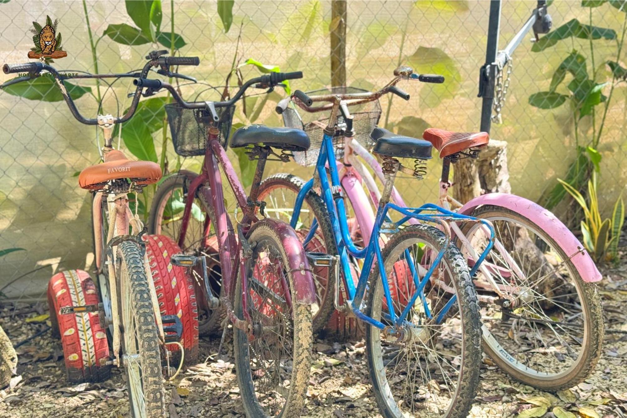 Hotel Selva Bacalar - Free Bike Rental Екстер'єр фото